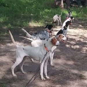 Meet your Posher, Adan